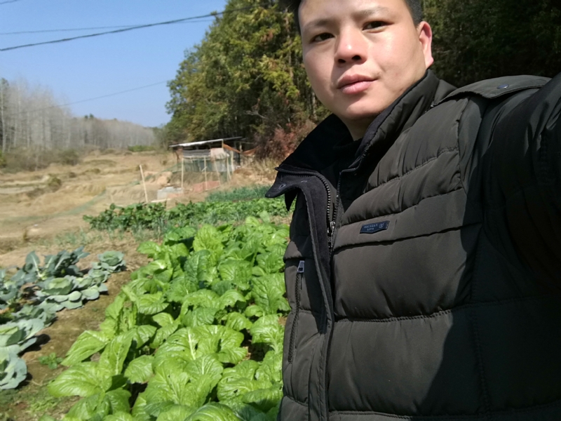 倔强的驴的第一张照片--岳阳相亲服务中心