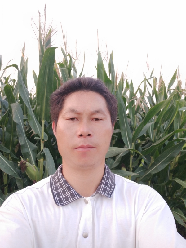 四海游龙的第一张照片--岳阳相亲服务中心