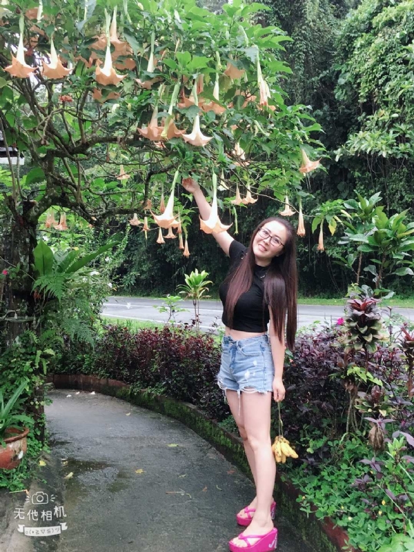 离异单身无子的第二张照片--岳阳相亲服务中心
