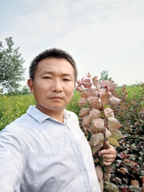 孩子爸的第二张照片--岳阳相亲服务中心