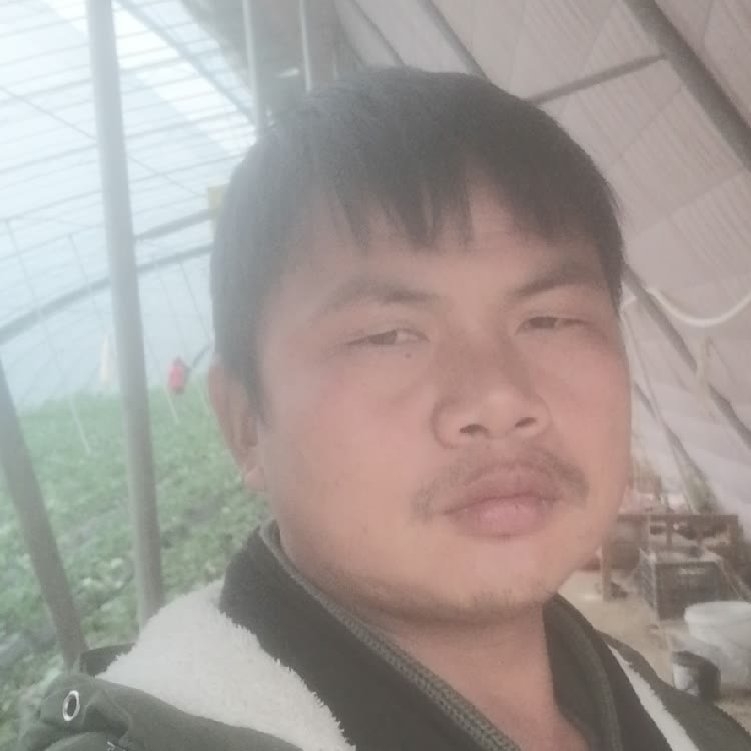孤狼‘的第一张照片--岳阳相亲服务中心