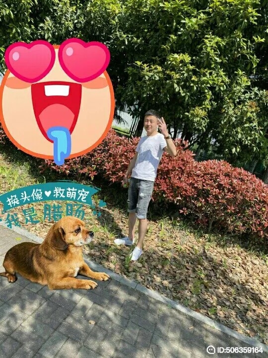 我若不坚强谁替我勇敢的第一张照片--岳阳相亲服务中心