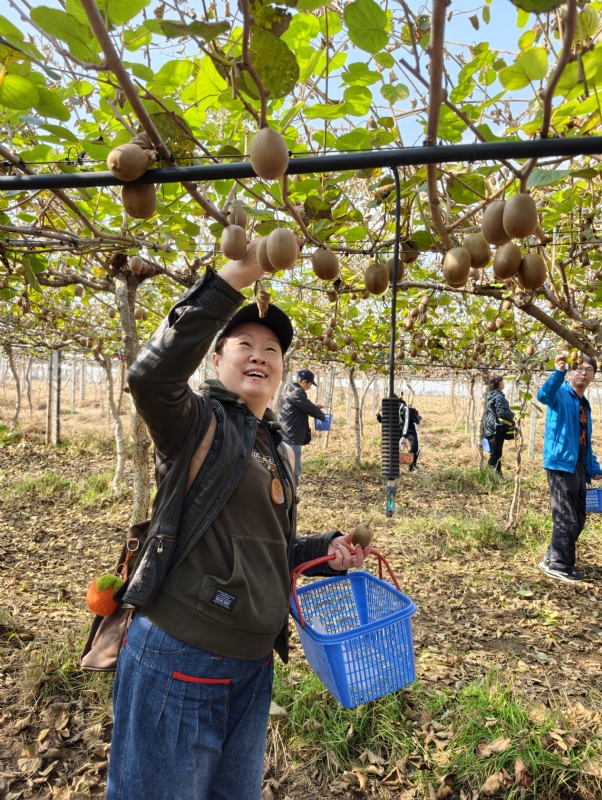 夜莺的第四张照片--岳阳相亲服务中心